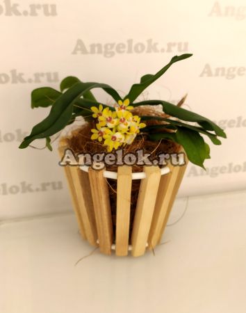 Корзинка для орхидей деревянная круглая 10 см