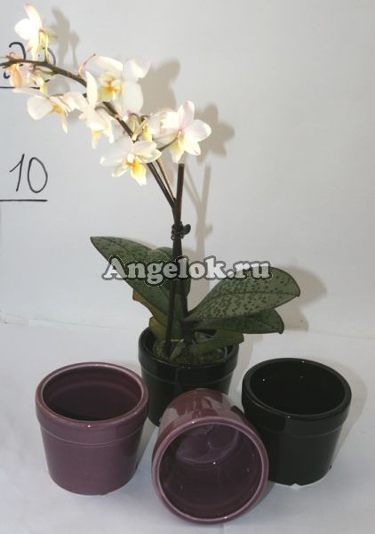 фото Кашпо керамическое для орхидей k-6 от магазина магазина орхидей Ангелок