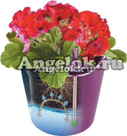 фото Кашпо с автополивом Комфорт бежевый 2,5л от магазина магазина орхидей Ангелок