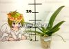 Фаленопсис Биг Лип (Phalaenopsis Younghome Green Dance) Тайвань