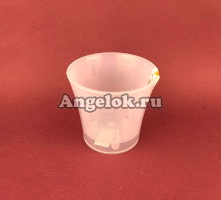 фото Горшок Арте прозрачный-прозрачный 0,6 л от магазина магазина орхидей Ангелок