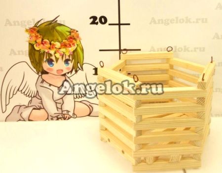 фото Корзинка для орхидей деревянная 6-ти угольная от магазина магазина орхидей Ангелок