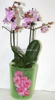 Горшок для орхидеи 1,8л с поддоном зеленый