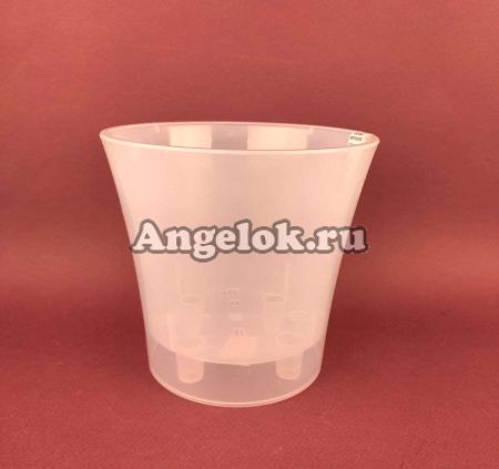 фото Горшок Арте прозрачный-прозрачный 1,2 л от магазина магазина орхидей Ангелок