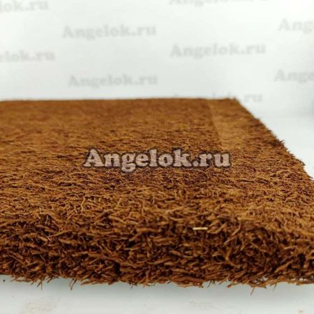 фото Блок для орхидей Tree Fern Panel №1 от магазина магазина орхидей Ангелок