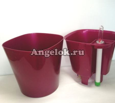 фото Кашпо с автополивом Комфорт бордовый от магазина магазина орхидей Ангелок