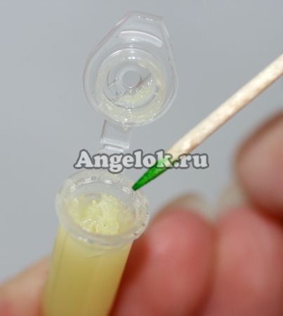 фото Цитокининовая паста от магазина магазина орхидей Ангелок