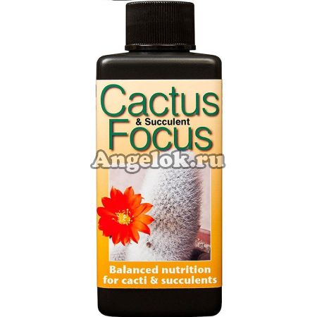 Удобрение для кактусов Cactus Focus