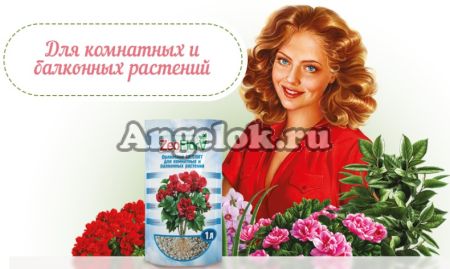 фото Почвоулучшитель ZeoFlora «Цеофлора» Фиалка 1л от магазина магазина орхидей Ангелок