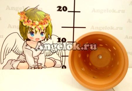 фото Горшок для орхидей глина d-12 от магазина магазина орхидей Ангелок