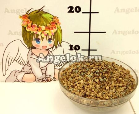 фото Лечуза Пон (Lechuza-PON) ручная фасовка 1л от магазина магазина орхидей Ангелок