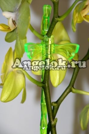 Опора пластиковая для орхидей Диамант тёмно-зеленая