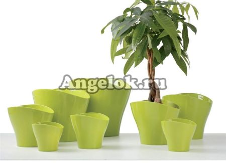 фото Кашпо пластиковое Шойрих "Волна" (Scheurich Wave) d-15 от магазина магазина орхидей Ангелок