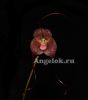 фото Дракула (Dracula gigas black) от магазина магазина орхидей Ангелок