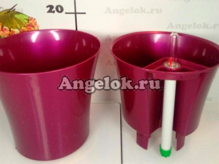 фото Кашпо с автополивом Комфорт круглое бордовое от магазина магазина орхидей Ангелок