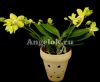 фото Фаленопсис (Phalaenopsis Table Masterpiece Yellow) от магазина магазина орхидей Ангелок