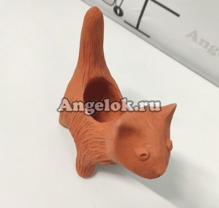 фото Блок для орхидей Кот от магазина магазина орхидей Ангелок