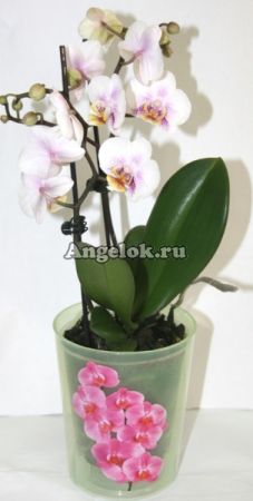 Горшок для орхидеи 1,2л с поддоном зеленый