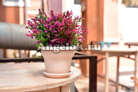 фото Горшок Милано-19 с поддоном бежевый от магазина магазина орхидей Ангелок