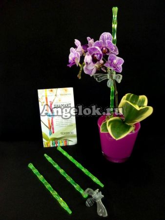 фото Опора пластиковая для орхидей Диамант зеленая от магазина магазина орхидей Ангелок