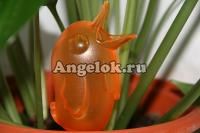 фото Ороситель Бёрди оранжевый от магазина магазина орхидей Ангелок
