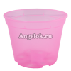 фото Горшок для орхидей (прозрачный) d-18 розовый от магазина магазина орхидей Ангелок