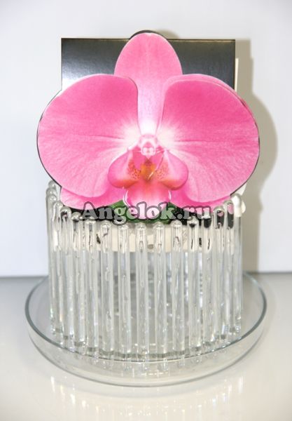 фото Горшок для орхидей Корона-мини прозрачный от магазина магазина орхидей Ангелок
