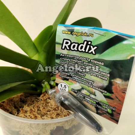 фото Радикс Стимулятор роста корней (Radix) 1,5 мл от магазина магазина орхидей Ангелок