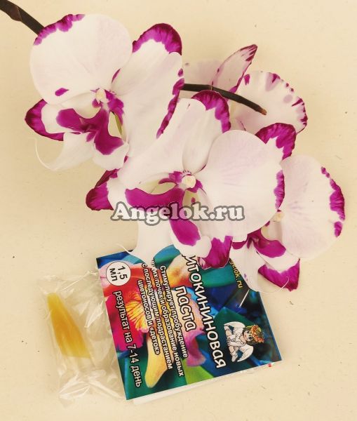 фото Цитокининовая паста от магазина магазина орхидей Ангелок