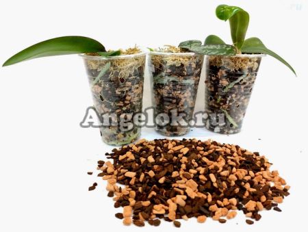 фото Грунт для деток орхидей "Ангелок" 1л от магазина магазина орхидей Ангелок