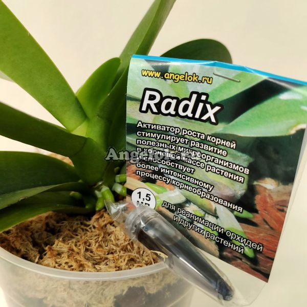 Радикс Стимулятор роста корней (Radix) 1,5 мл