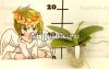 Фаленопсис (Phalaenopsis Sogo Pony’ys’) Тайвань