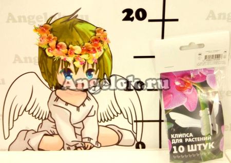 фото Зажим для орхидей Пчелка прозрачная набор (10 штук) от магазина магазина орхидей Ангелок