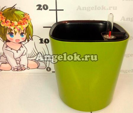 фото Кашпо с автополивом Комфорт оливковый от магазина магазина орхидей Ангелок