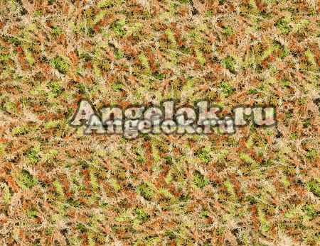 фото Мох Спагмосс Spagmoss Premier - прессованный 40л от магазина магазина орхидей Ангелок