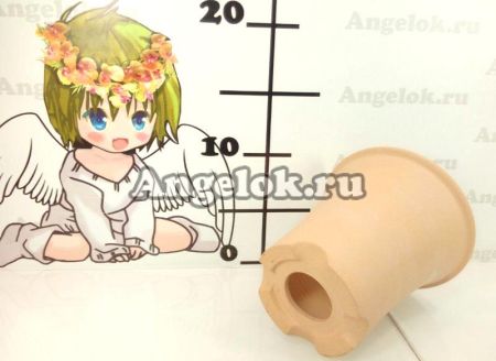 фото Горшок для неофинетии глина d-10 от магазина магазина орхидей Ангелок