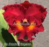 Каттлея (Rlc.Shinfong Emperor)