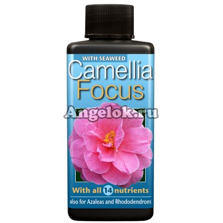 Удобрение Camellia Focus