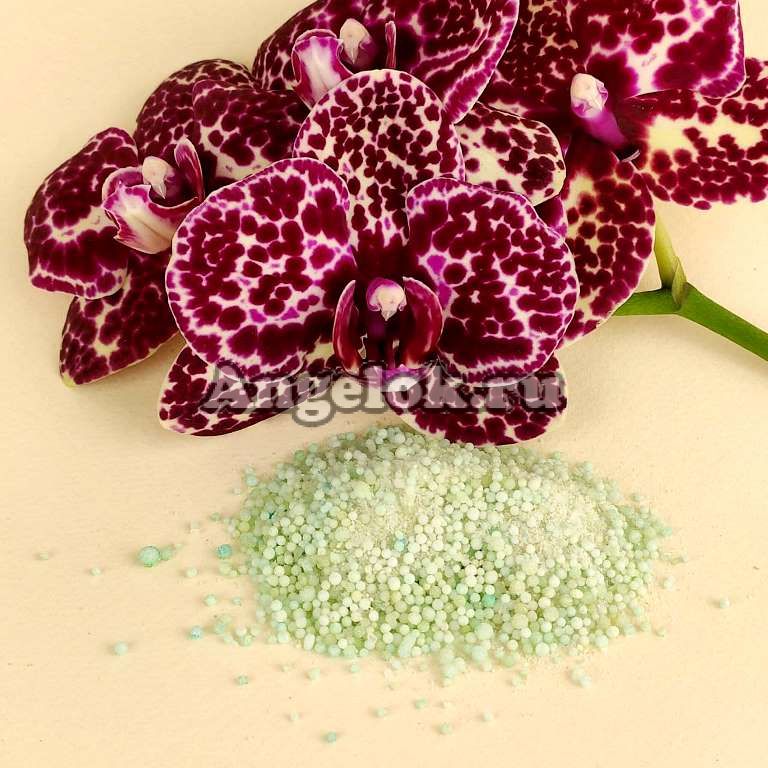 ТОП-5 удобрений для цветения орхидей