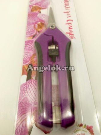 фото Ножницы для орхидей 16,5 см от магазина магазина орхидей Ангелок