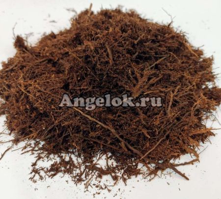 фото Триферн (Tree Fern) 1л ручная фасовка от магазина магазина орхидей Ангелок