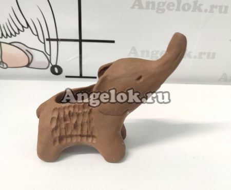 фото Блок для орхидей Слоник от магазина магазина орхидей Ангелок