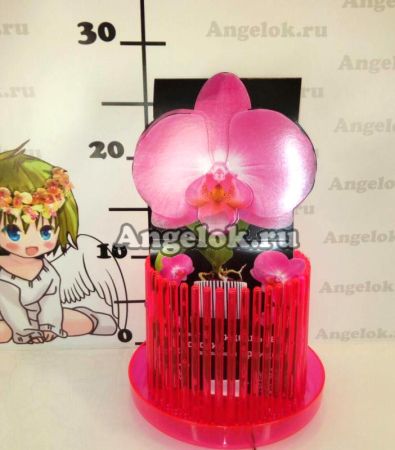 фото Горшок для орхидей Корона d-13 красный флюр от магазина магазина орхидей Ангелок