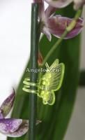 фото Зажим для орхидей Бабочка желтая / зеленая от магазина магазина орхидей Ангелок