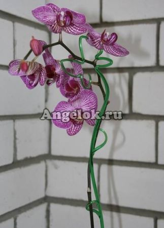 Опора пластиковая для орхидей Бабочка