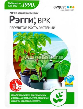 фото Рэгги 1 мл от перерастания рассады от магазина магазина орхидей Ангелок