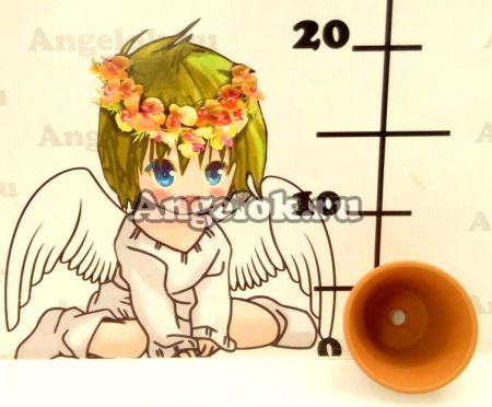 фото Горшок глина d-7 от магазина магазина орхидей Ангелок