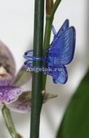 фото Зажим для орхидей Бабочка синяя / сиреневая от магазина магазина орхидей Ангелок