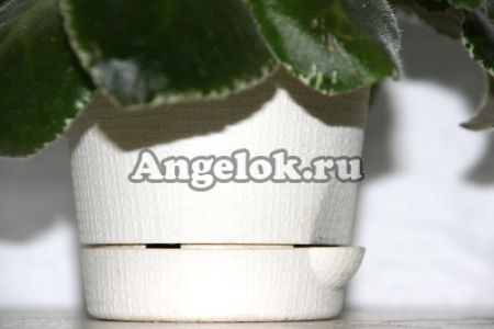 фото Горшок Le Parterre кремовый d-9 от магазина магазина орхидей Ангелок