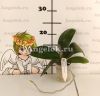 Фаленопсис (Phalaenopsis Miki Big Wave) Тайвань